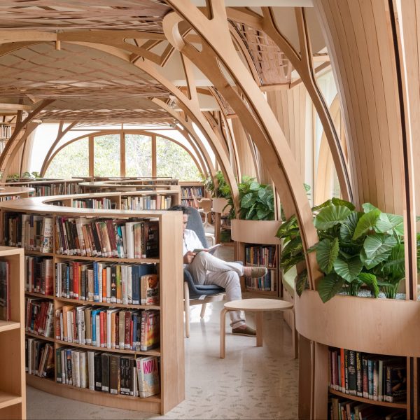 The Forest of Knowledge – CCI Library by StudioHinge