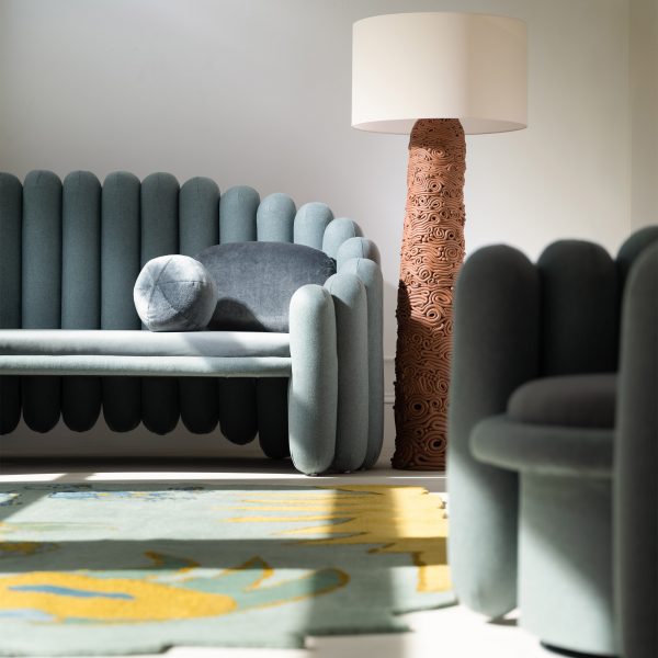 Photo of sofas, a rug and a lamp