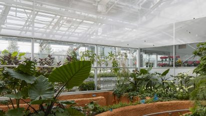 Montreal Insectarium