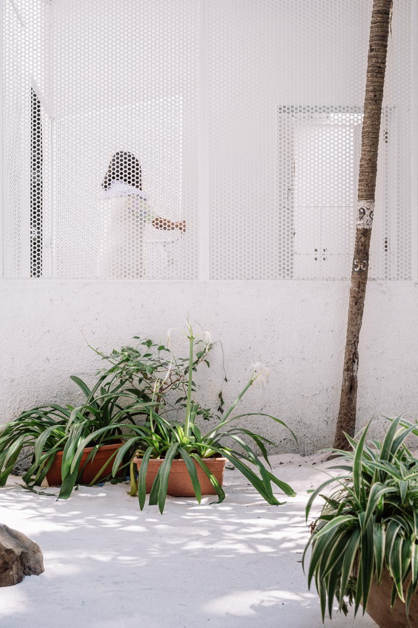 Plants in front of perforated metal screen wall with courtyard behind