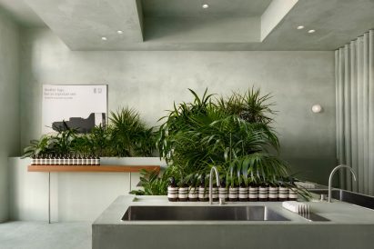 Sinks with tropical foliage in planter behind