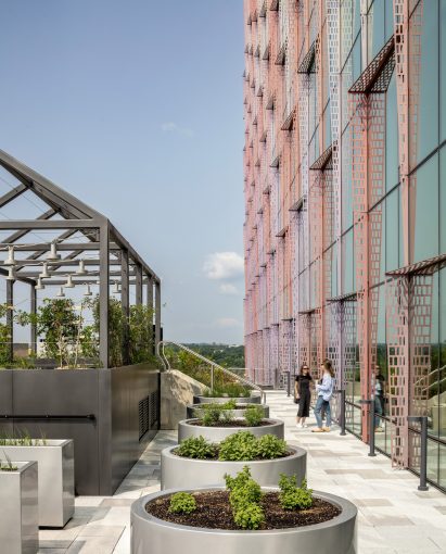 Copper-coloured metal screens in front of community garden on a terrace