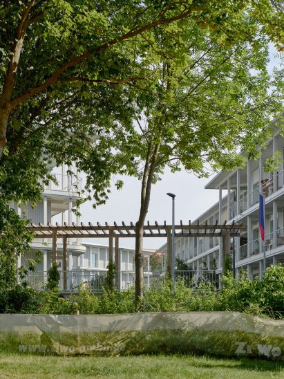 Grassy garden with a tree in a multi-generational housing complex