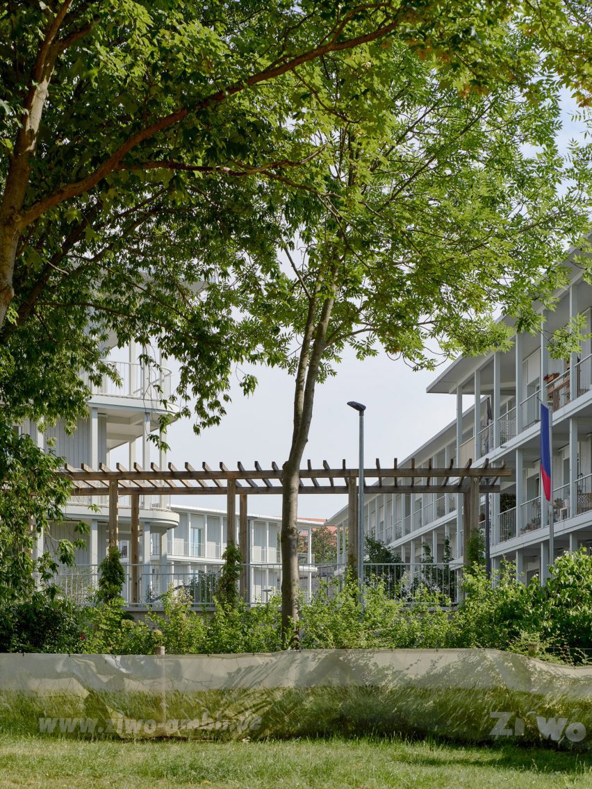 Grassy garden with a tree in a multi-generational housing complex