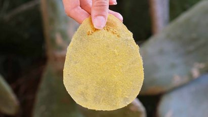 Seeded toilet paper encourages plants to grow with human-waste fertiliser