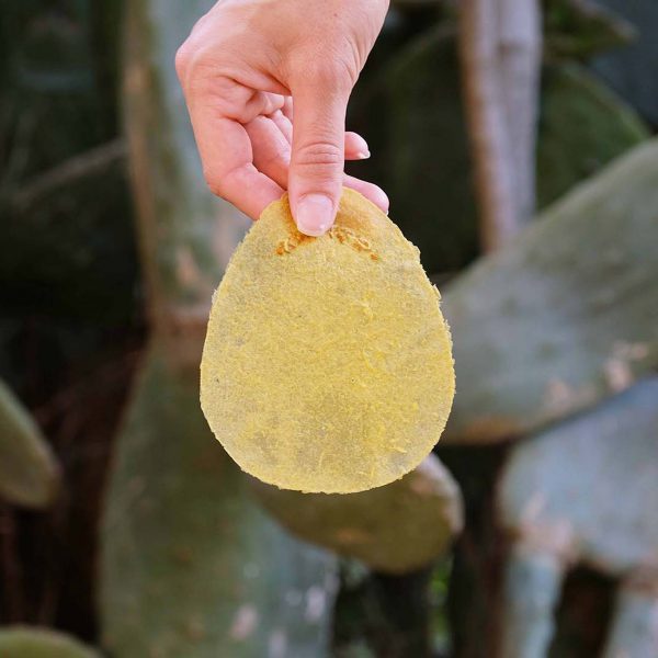 Seeded toilet paper encourages plants to grow with human-waste fertiliser