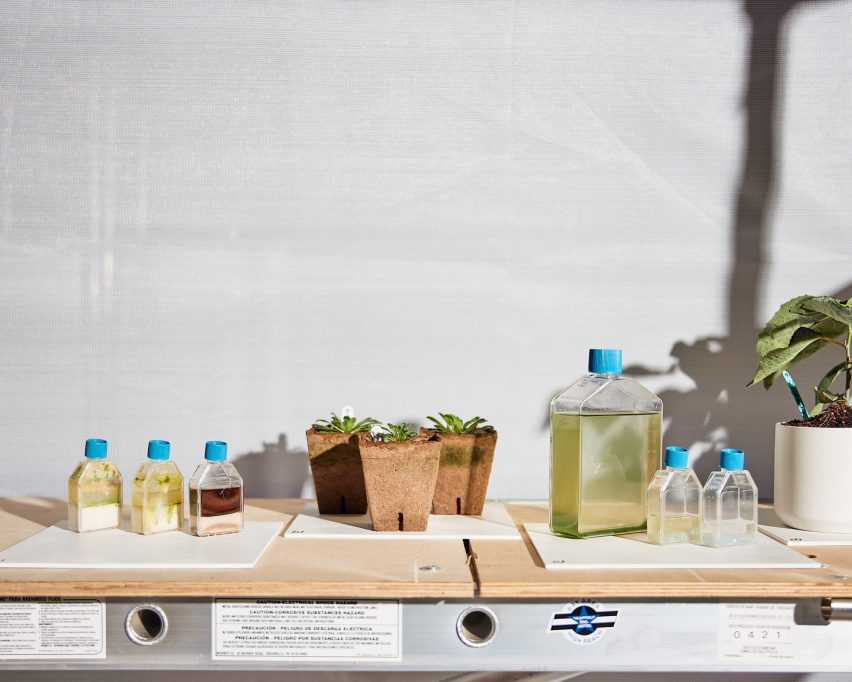 BluumBio display