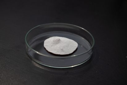 Bioprosthesis nipple in a petri dish