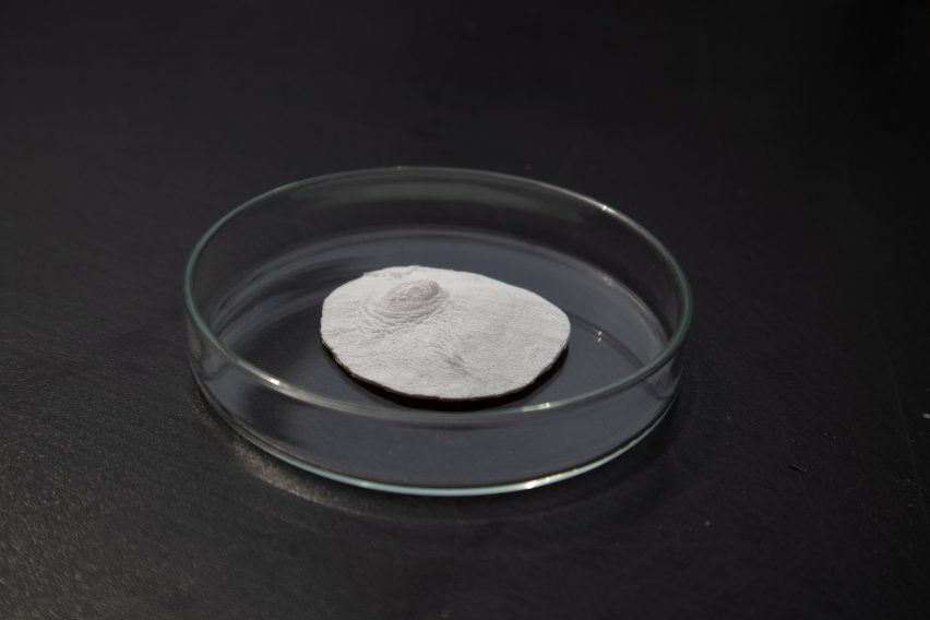 Bioprosthesis nipple in a petri dish