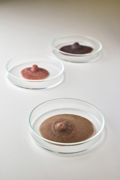 Bioprosthesis prosthetic nipples by Arianna Pezzano