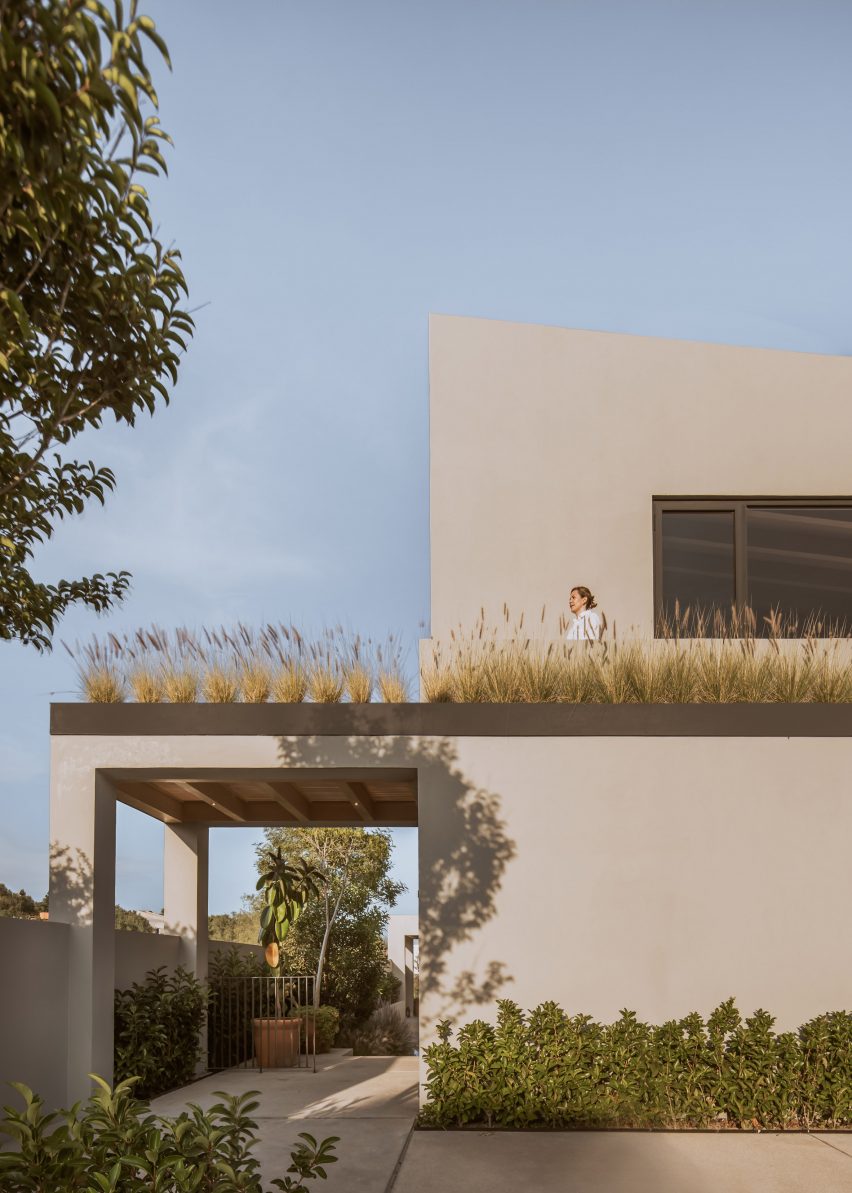 Casa Camelia by Romero De La Mora in Mexico