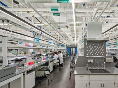 White and silver laboratory