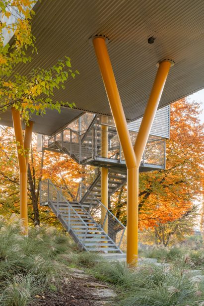 Photo of an exterior staircase at The Hole with the House Around