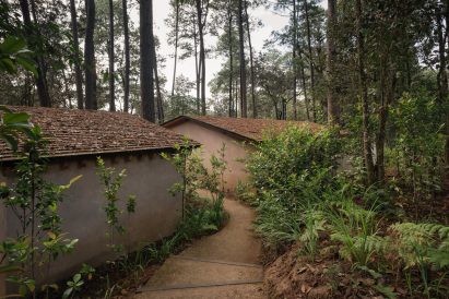 Two one-storey houses separated by a winding path in a forest by Estudio Atemporal