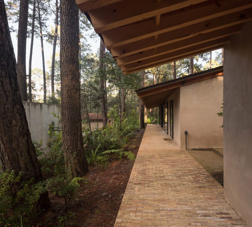 Brick walkway next to two one-storey house structures in a forest