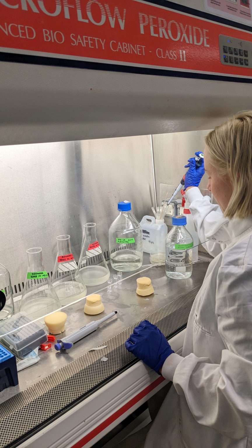 Photograph of a woman in a white lab coat using a pipette to move liquid between vessels