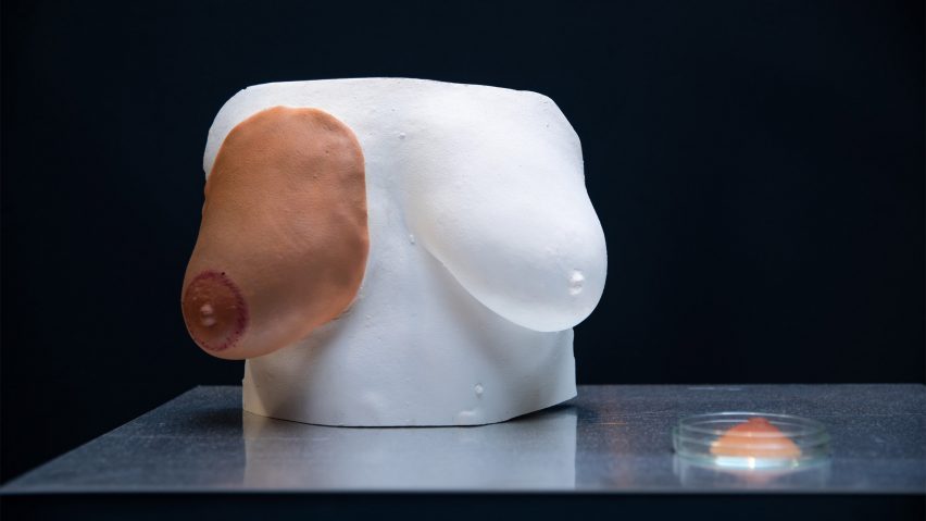 Bioprosthesis prosthetic nipple and breast on a mannequin