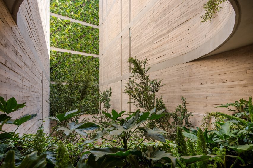Board-formed concrete courtyard with a green wall