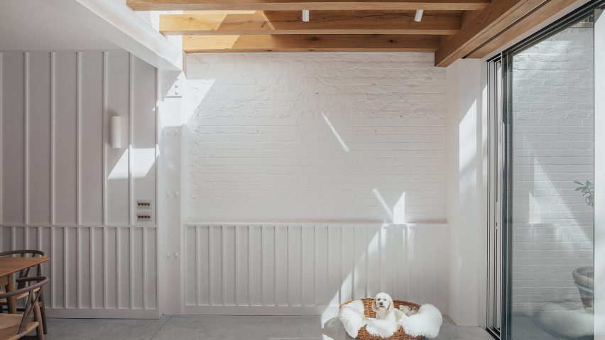 Dog in kitchen-dining room of Huron House in London by Studio Varey Architects