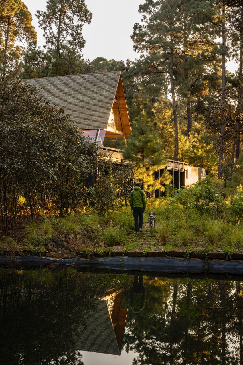 A man and dog walking toward an elevated a-frame home in the forest
