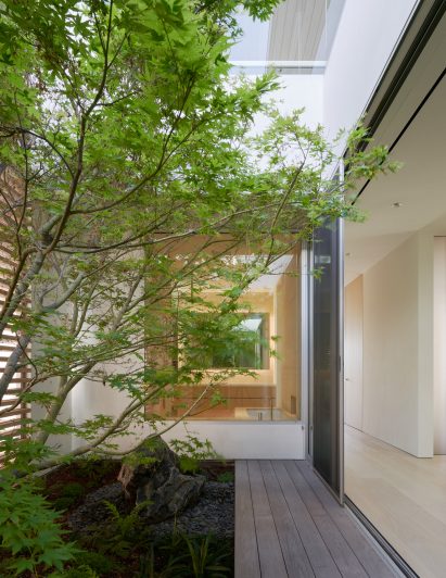 Courtyard with a planted tree in a Californian home by Montalba Architects
