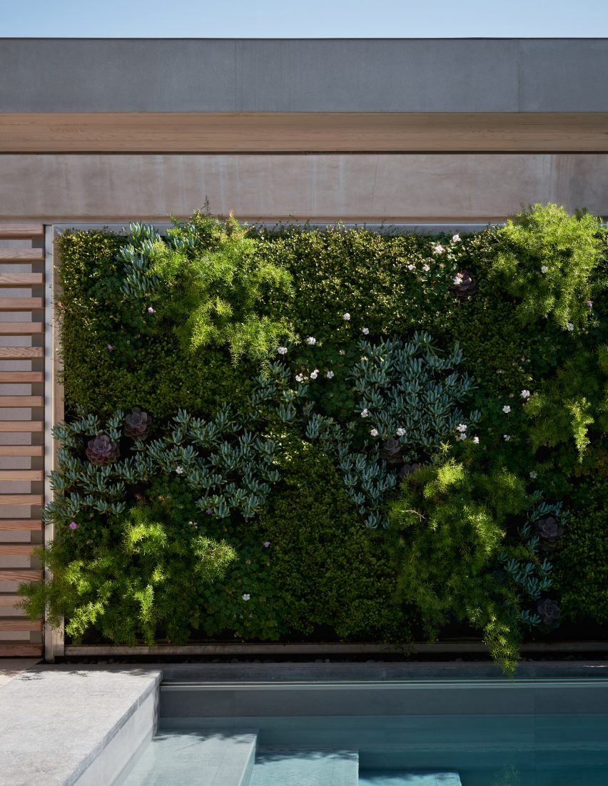 Green wall next to an outdoor swimming pool