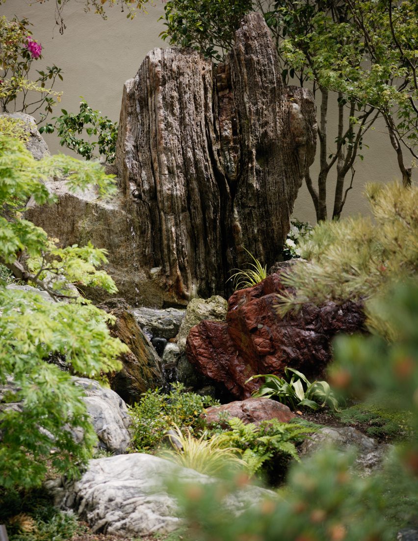 A large boulder surrounded by planrs