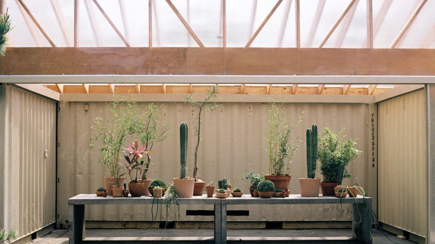 Public Records Cactus Space