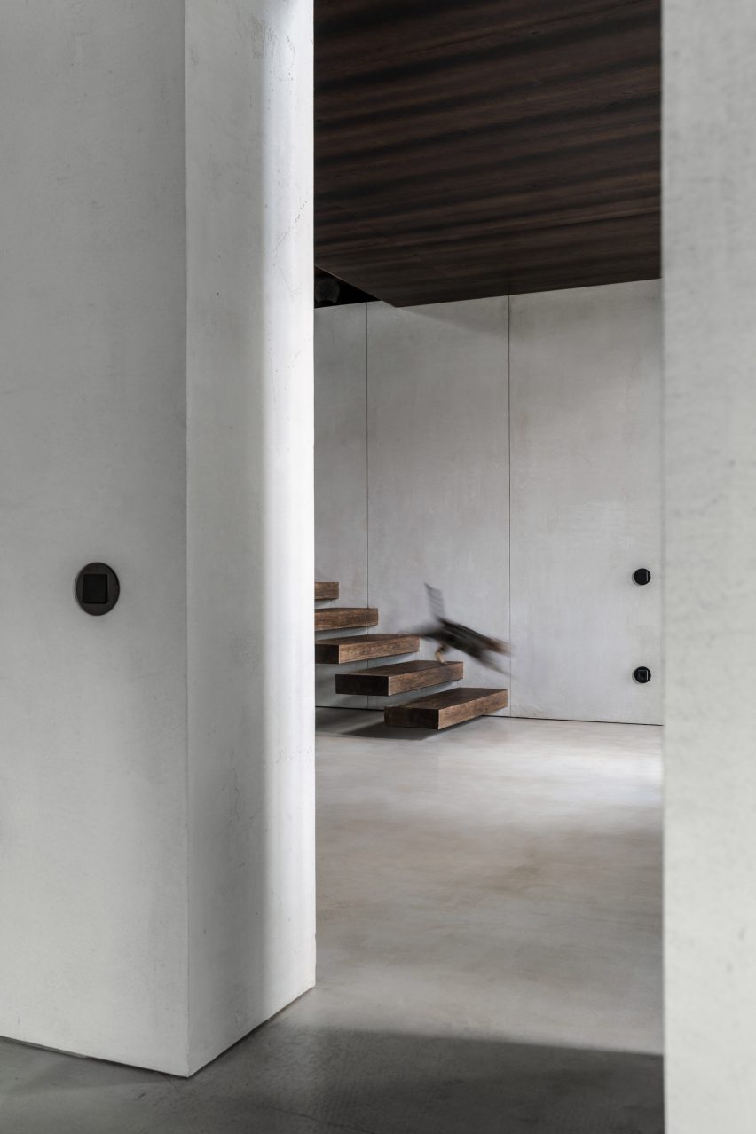 Photograph of cat descending staircase