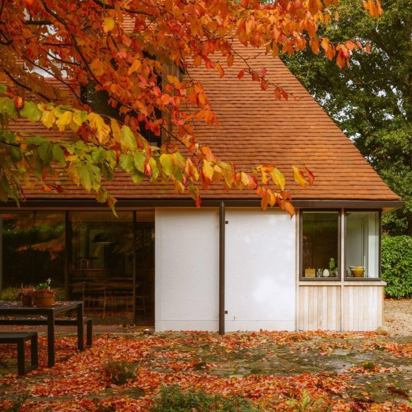 Exterior of Middle Avenue House by Rural Office for Architecture