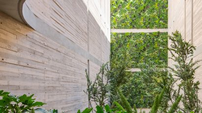 Board-formed concrete courtyard with planting and curved cut-out ceiling