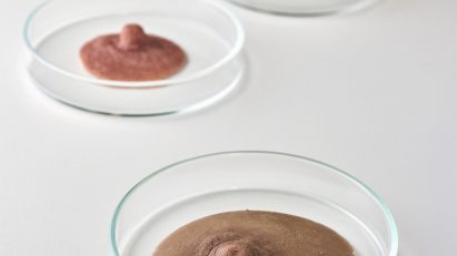 Bioprosthesis prosthetic nipples by Arianna Pezzano