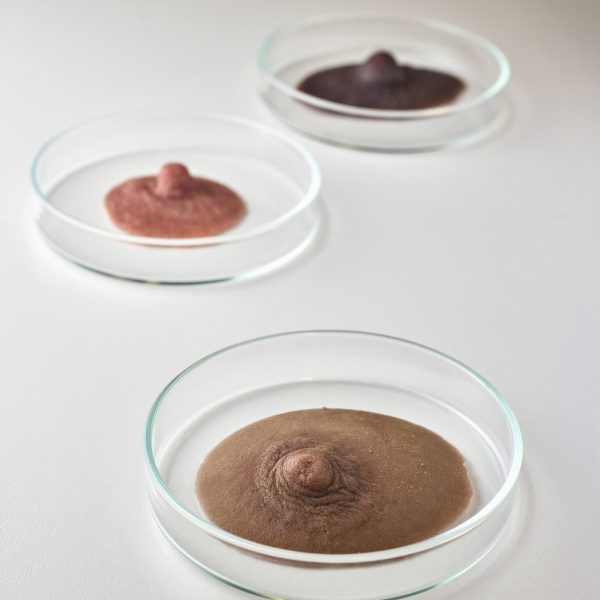 Bioprosthesis prosthetic nipples by Arianna Pezzano