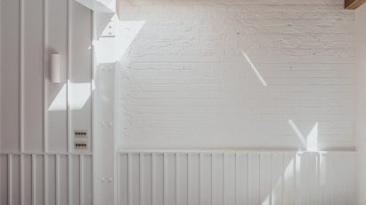 Dog in kitchen-dining room of Huron House in London by Studio Varey Architects