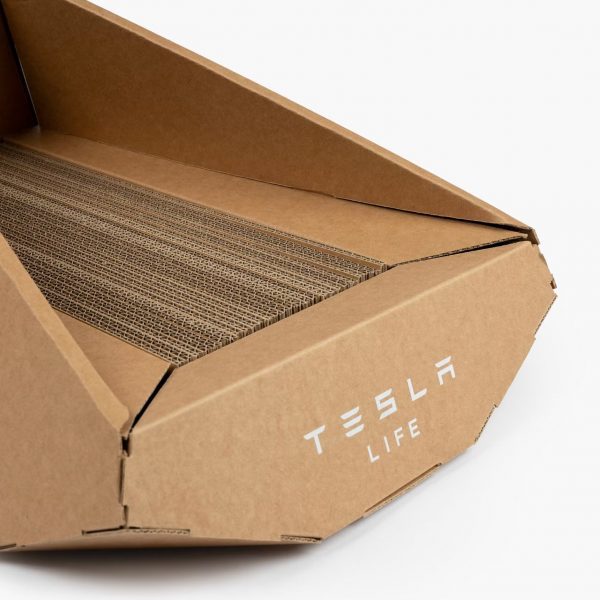 Tesla cardboard cat house