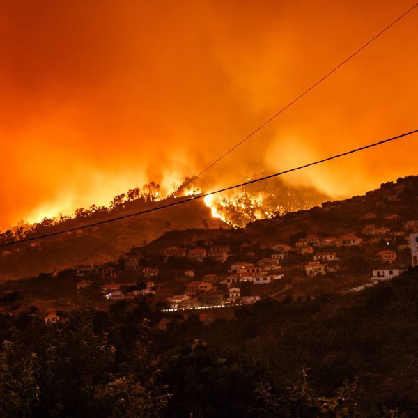 Wildfires in Portugal