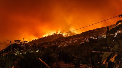 Wildfires in Portugal