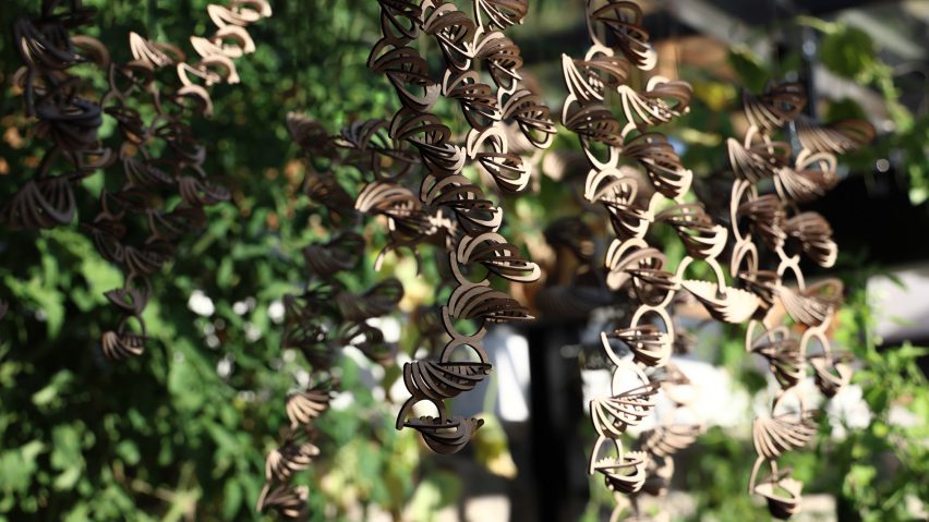 Photo of a wooden installation in a tree