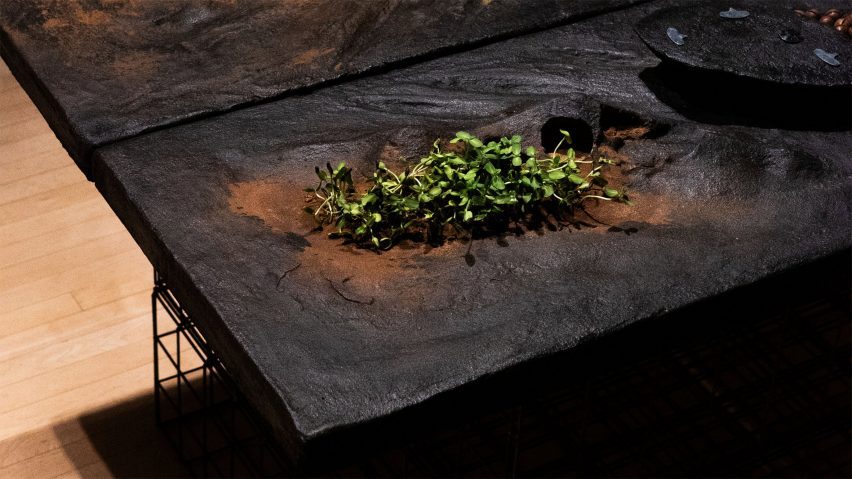 Photo of edible table