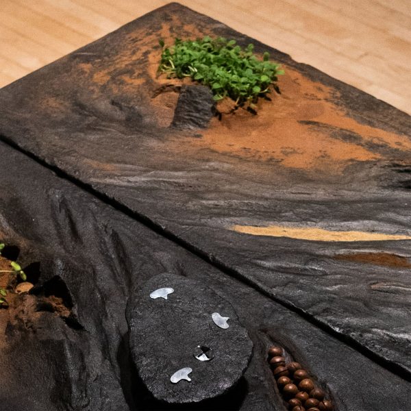 Photo of edible table