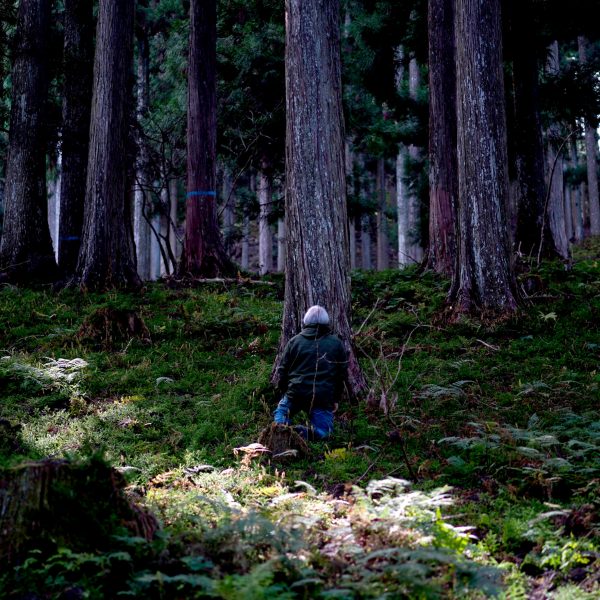 Photo of a person in a forest