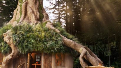 Shrek's Swamp Airbnb