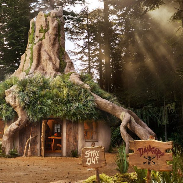 Shrek's Swamp Airbnb