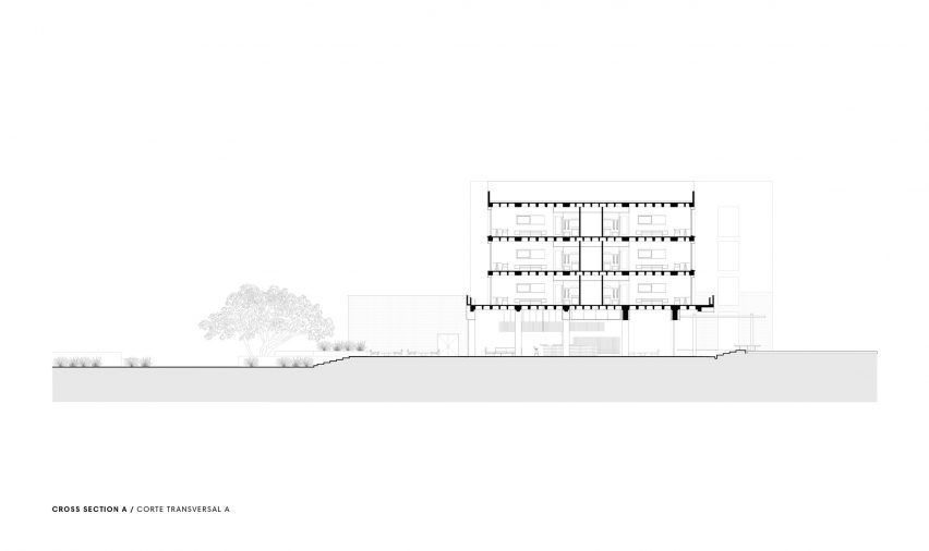 Section of Hotel Albor San Miguel de Allende by Productora and Esrawe Studio