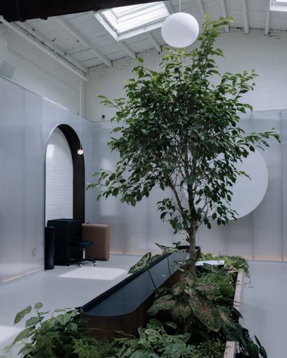 A planter with a small tree and water feature
