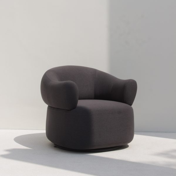Dark grey sofa in white room