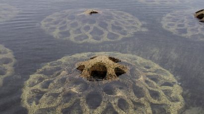 Erosion Mitigation Units are semi-submerged modules