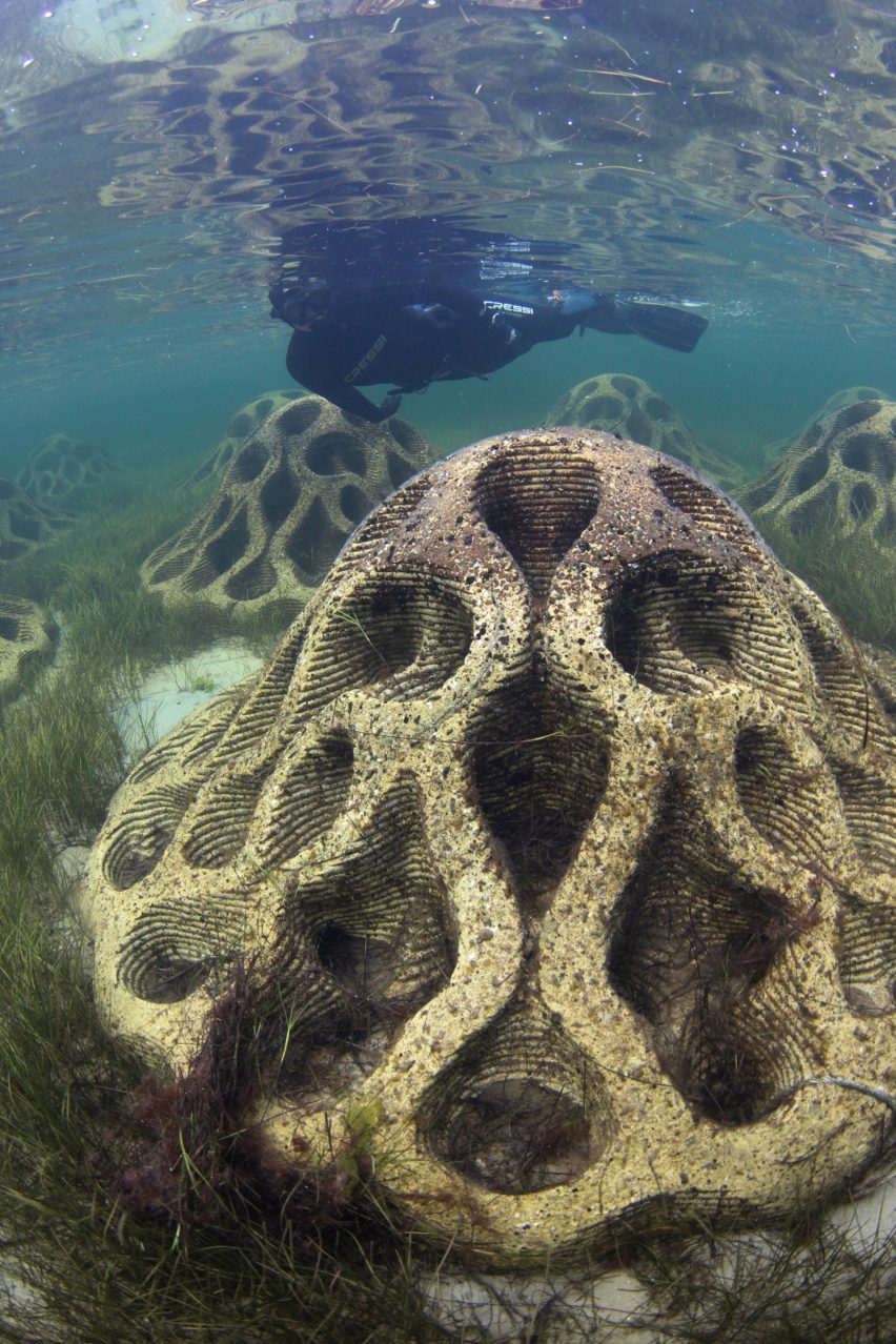 A snorkeler swimming by EMU