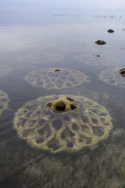 Erosion Mitigation Units are semi-submerged modules