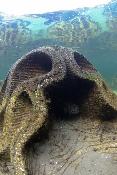 The module shelters fish from predators